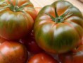 Tomate Raff "Auténtico"  1 kg